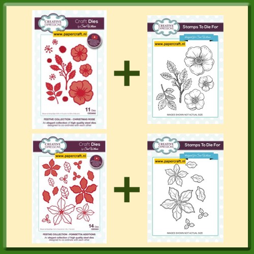 Creative Expressions Bloemen, mal met stempel