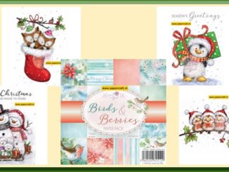 Wild Rose Studio Stempels en Papier