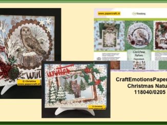 Papierblok en voorbeeldkaarten van Christmas Nature