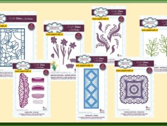 Creative Expressions Succulent Garden Mal en Stempel