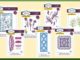 Creative Expressions Succulent Garden Mal en Stempel