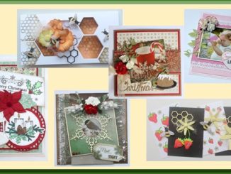 Voorbeeldkaarten Joy! Crafts Producten Augustus 2017