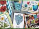 Woodware Craft Stempels van Creative Expressions