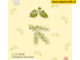 Stempel Christmas Branches van Leane Creatief