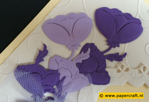 Specialty Die SD021 van Wild Rose Studio