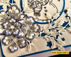 Creative Expressions Perfect Peony Petals