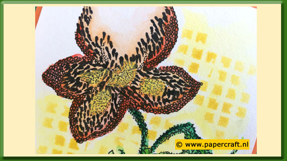 Zendoodle