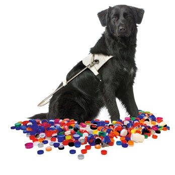 Doppen actie KNGF Geleidehonden