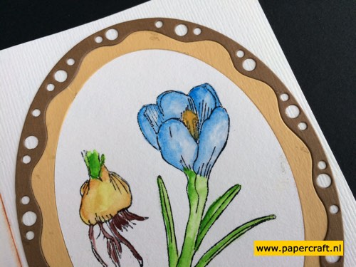 Veer & Moon Stempel Krokus met Knol